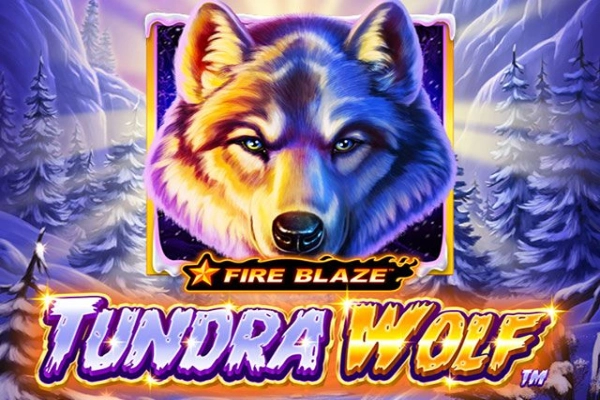 17195 fire blaze golden tundra wolf